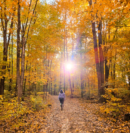Travelers hiking through a vibrant autumn forest, leaves glowing in warm sunlight.