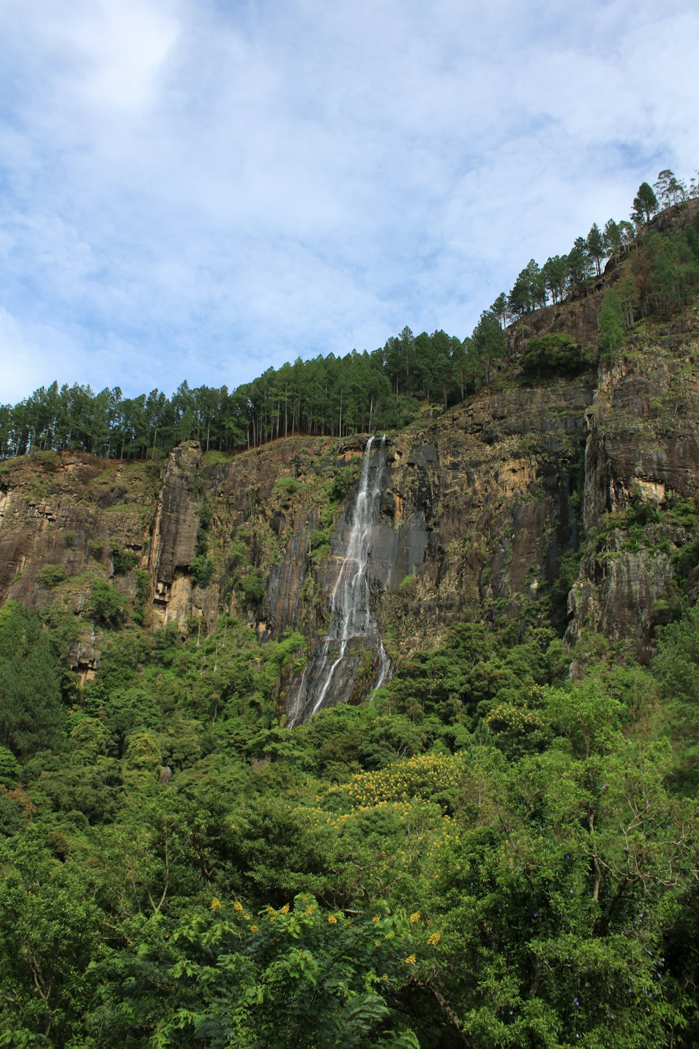 a waterfall in the middle of a lush green forest