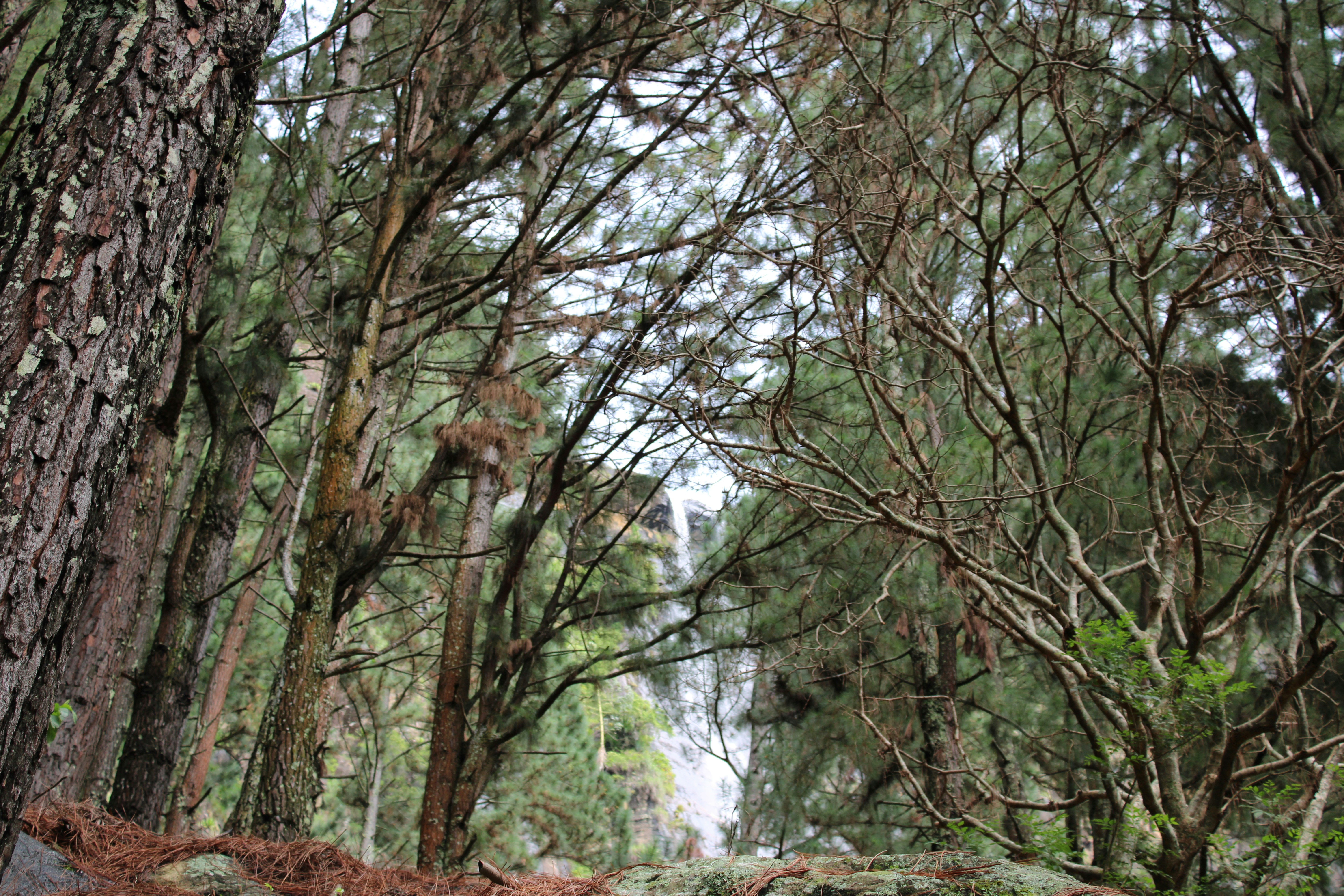 Photo by dilani_wicky