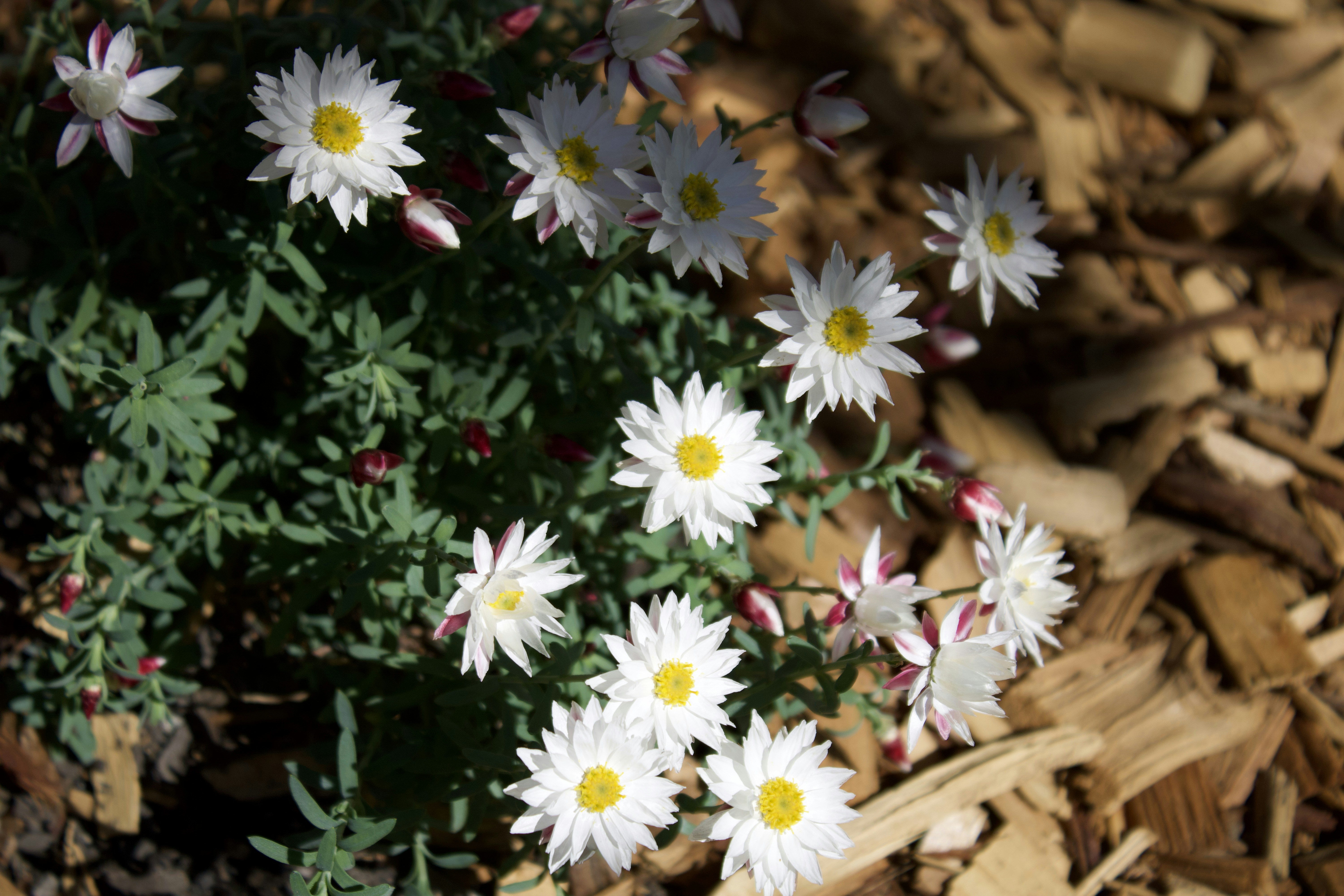 Photo by risingmountain