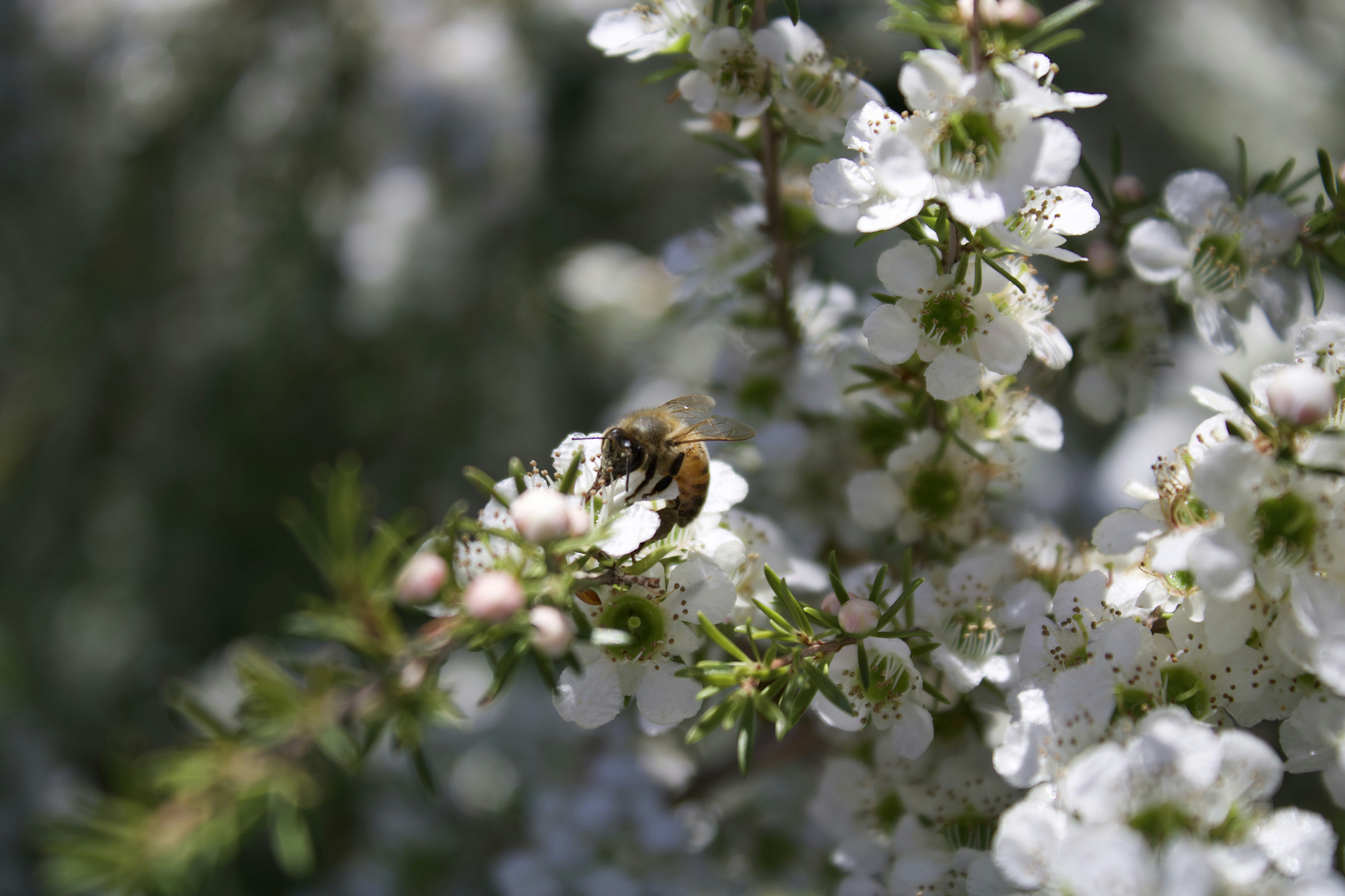 Photo by risingmountain