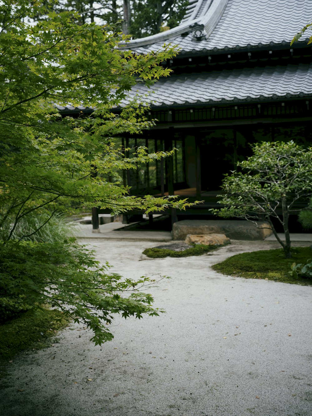 a path leading to a building with a tree in the foreground