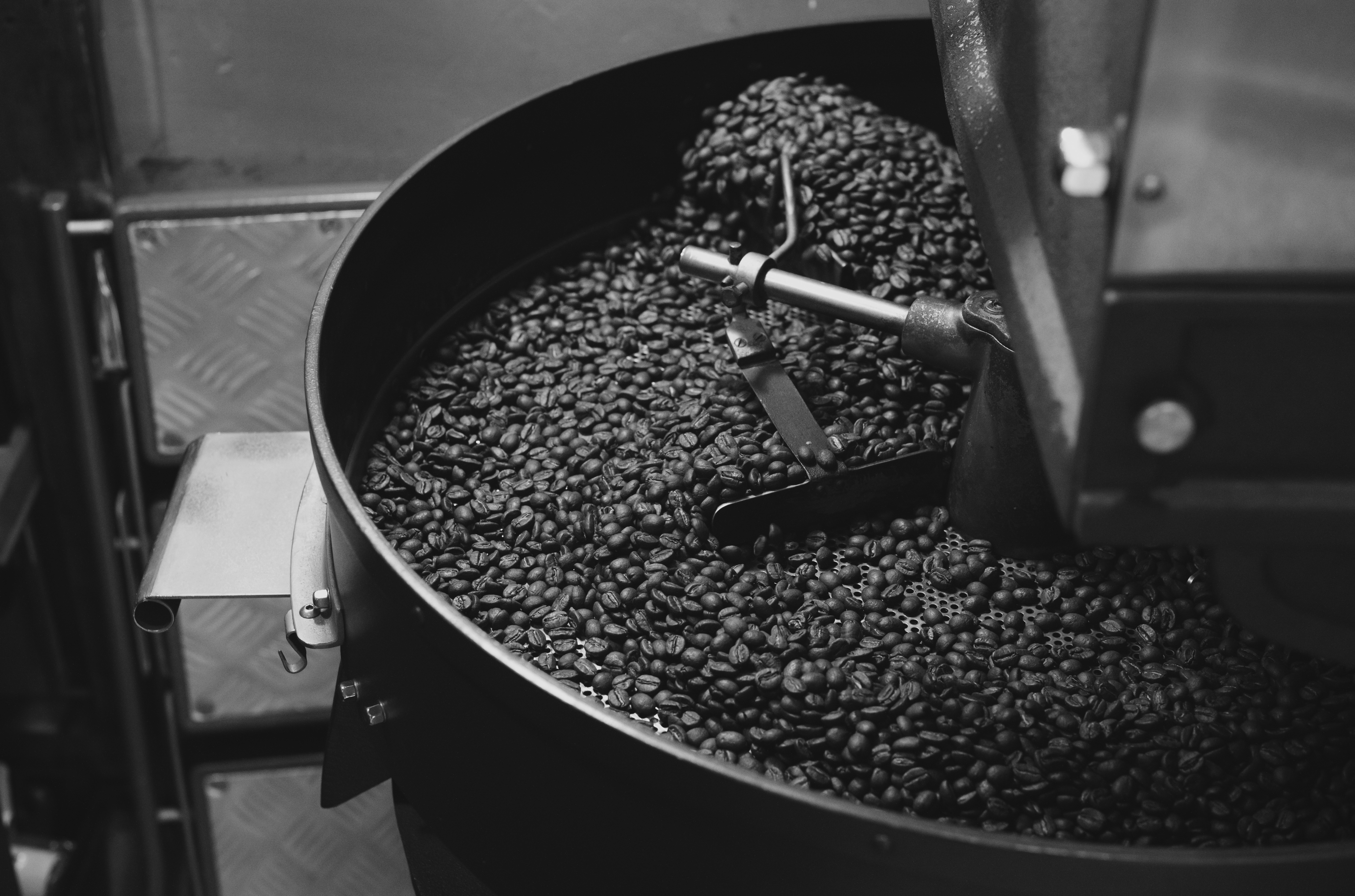 a large pot filled with lots of coffee beans