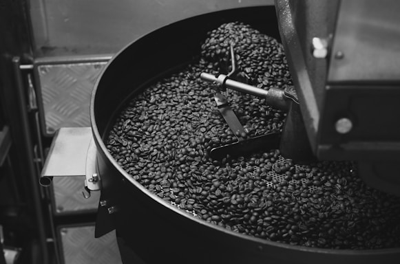 A large metal drum filled with freshly roasted coffee beans. A metal arm rests inside the drum, likely part of a roasting machine. The image is in black and white, highlighting the texture and sheen of the beans and the industrial feel of the machinery.