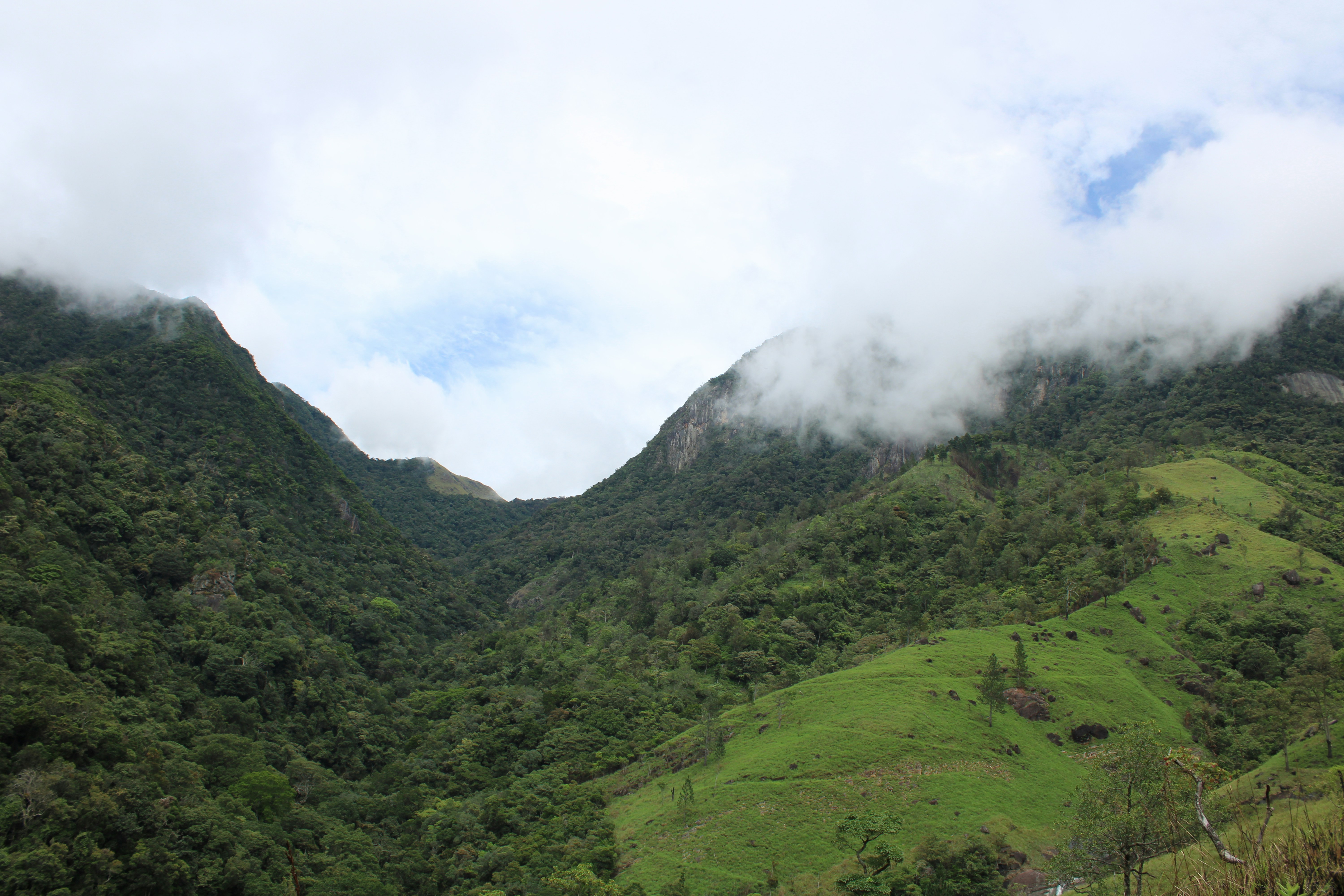 Photo by dilani_wicky