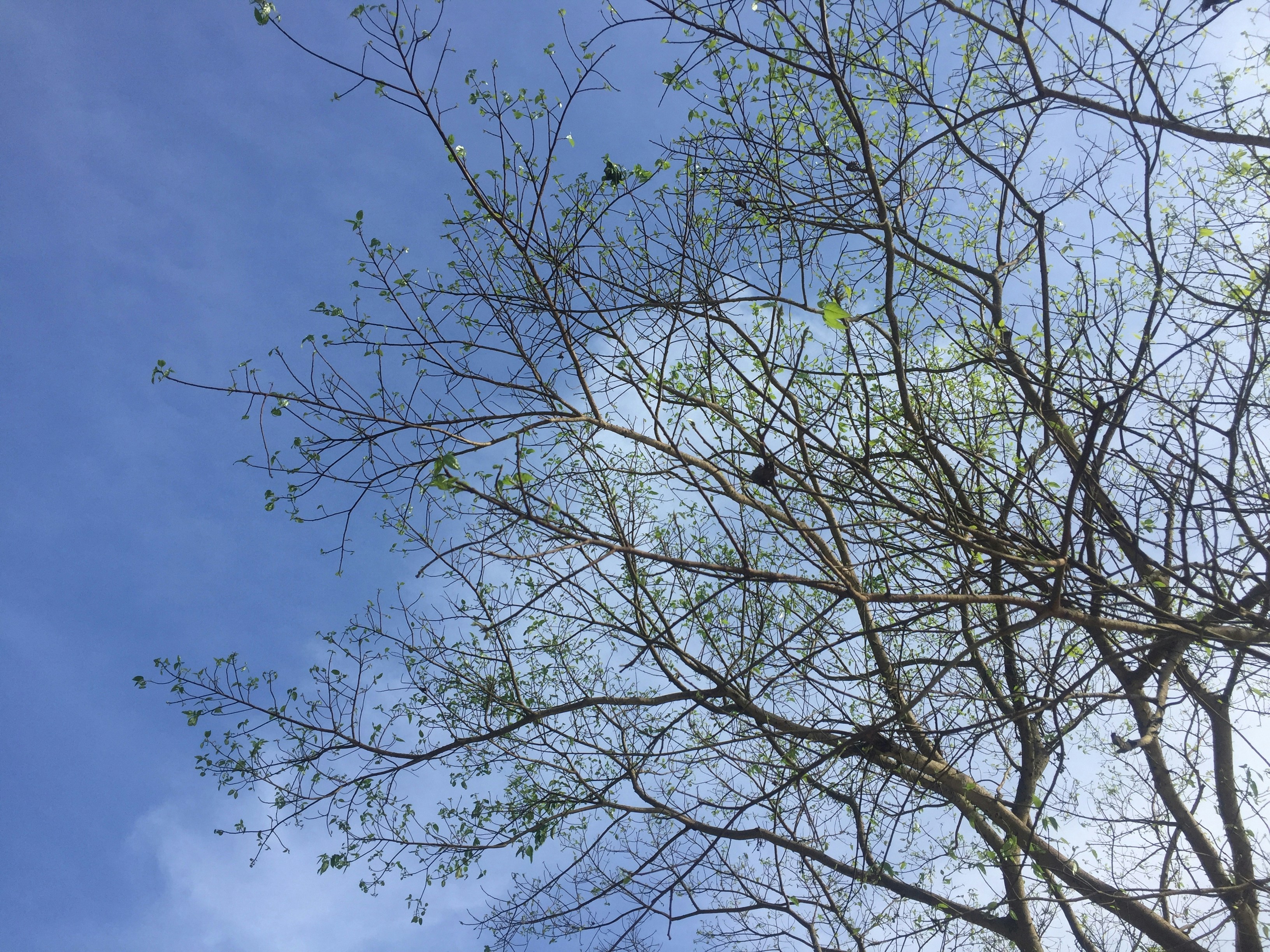 Photo by uyennguyen2401