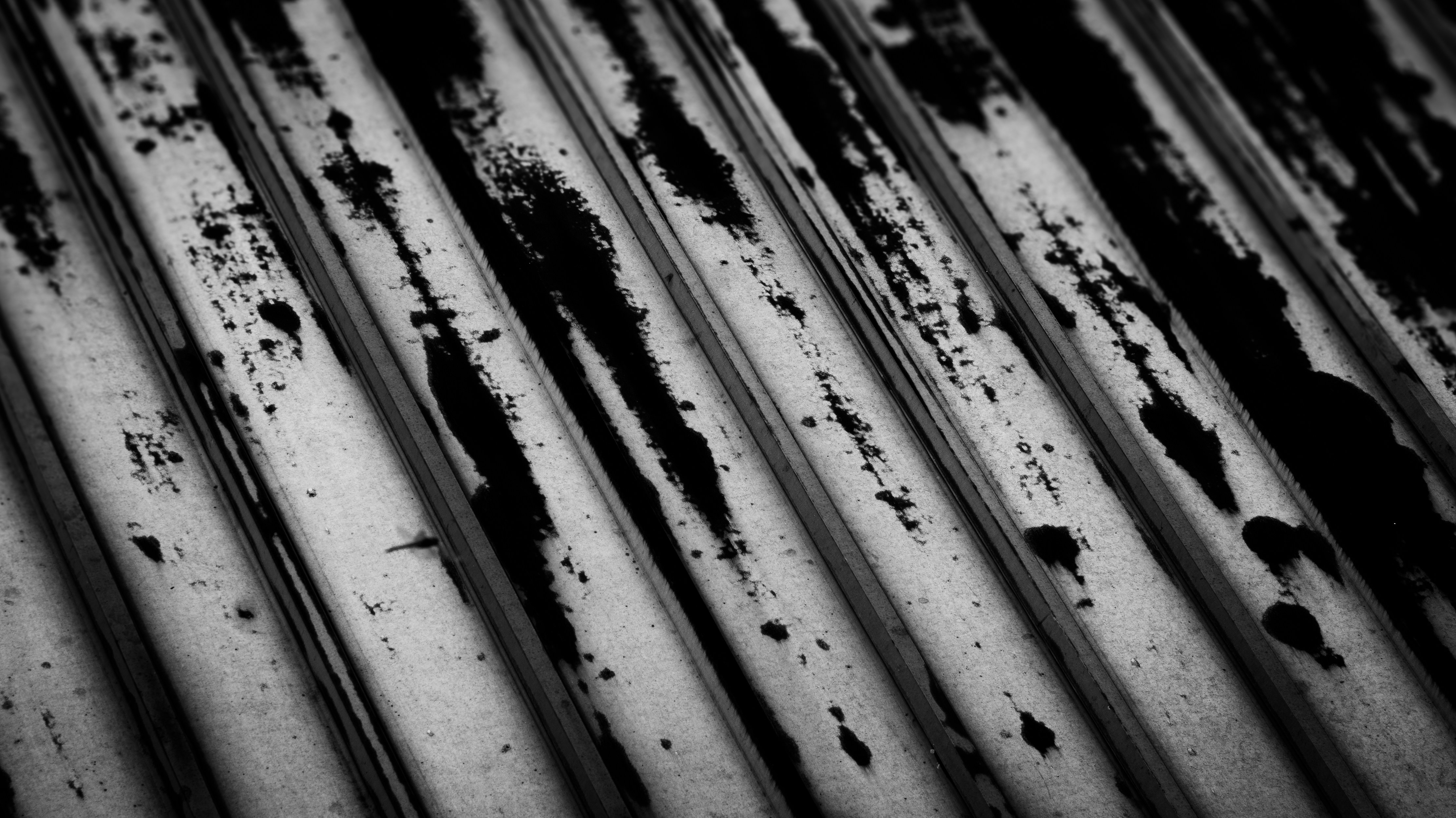 Schwarz-Weiß-Foto von verrosteten Metallstangen