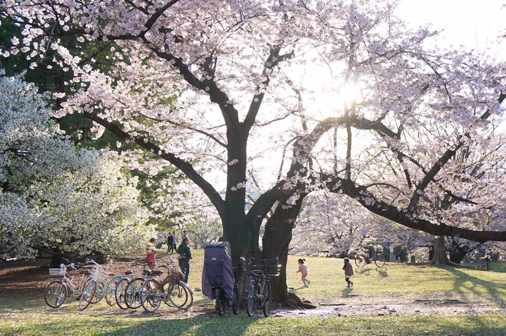 a group of people standing around a tree