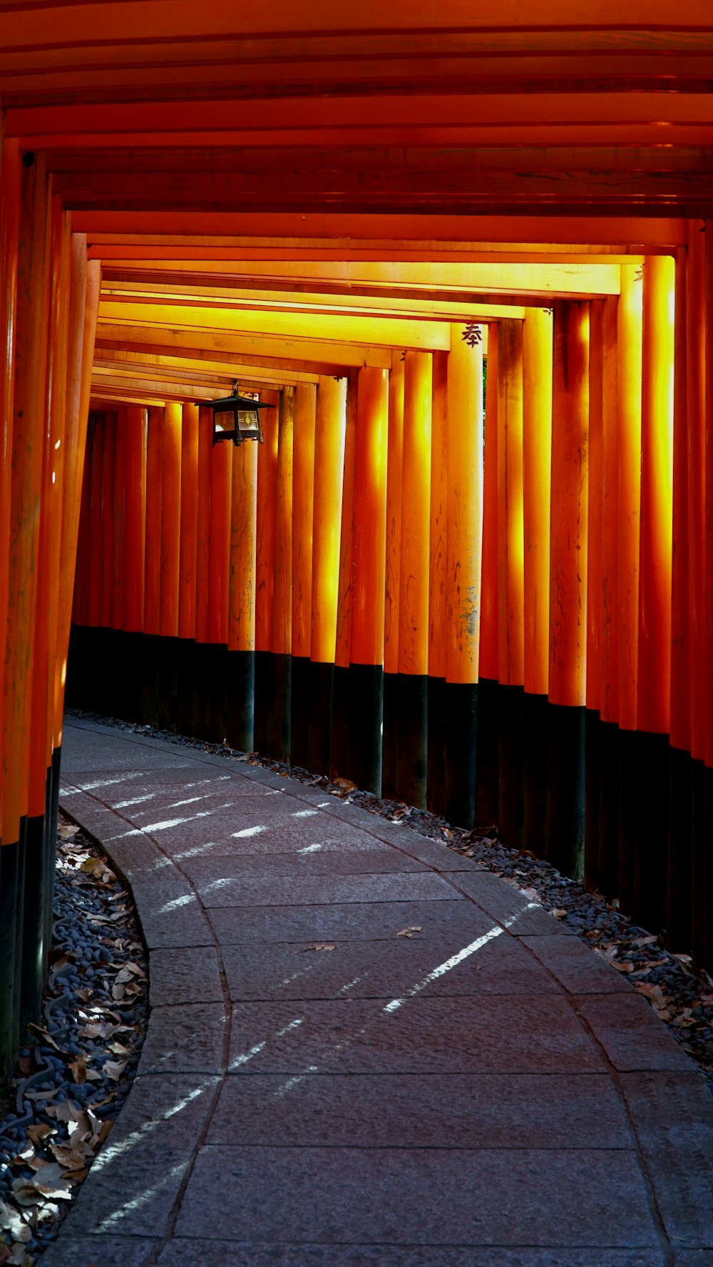 a walkway lined with tall orange poles next to a forest