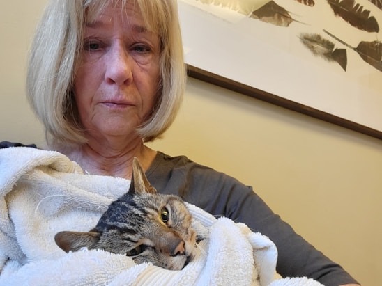 A person with shoulder-length blonde hair holds a tabby cat wrapped in a white towel. The person has an expression that may convey concern or sadness. There is a painting or print with feather motifs hanging on the wall in the background.