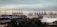 A large industrial port with numerous cranes lining the docks, handling stacks of shipping containers. Wind turbines can be seen on the horizon, indicating a blend of industry and renewable energy. The foreground is dotted with trees and industrial buildings.
