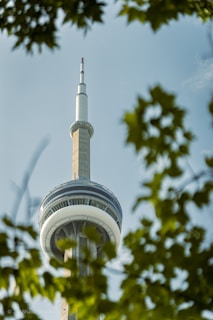 A tall communications tower with a circular observation deck is framed by green leaves in the foreground. The tower stands against a clear blue sky, and the perspective emphasizes its height and sleek design.