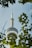 A tall communications tower with a circular observation deck is framed by green leaves in the foreground. The tower stands against a clear blue sky, and the perspective emphasizes its height and sleek design.
