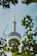 A tall communications tower with a circular observation deck is framed by green leaves in the foreground. The tower stands against a clear blue sky, and the perspective emphasizes its height and sleek design.
