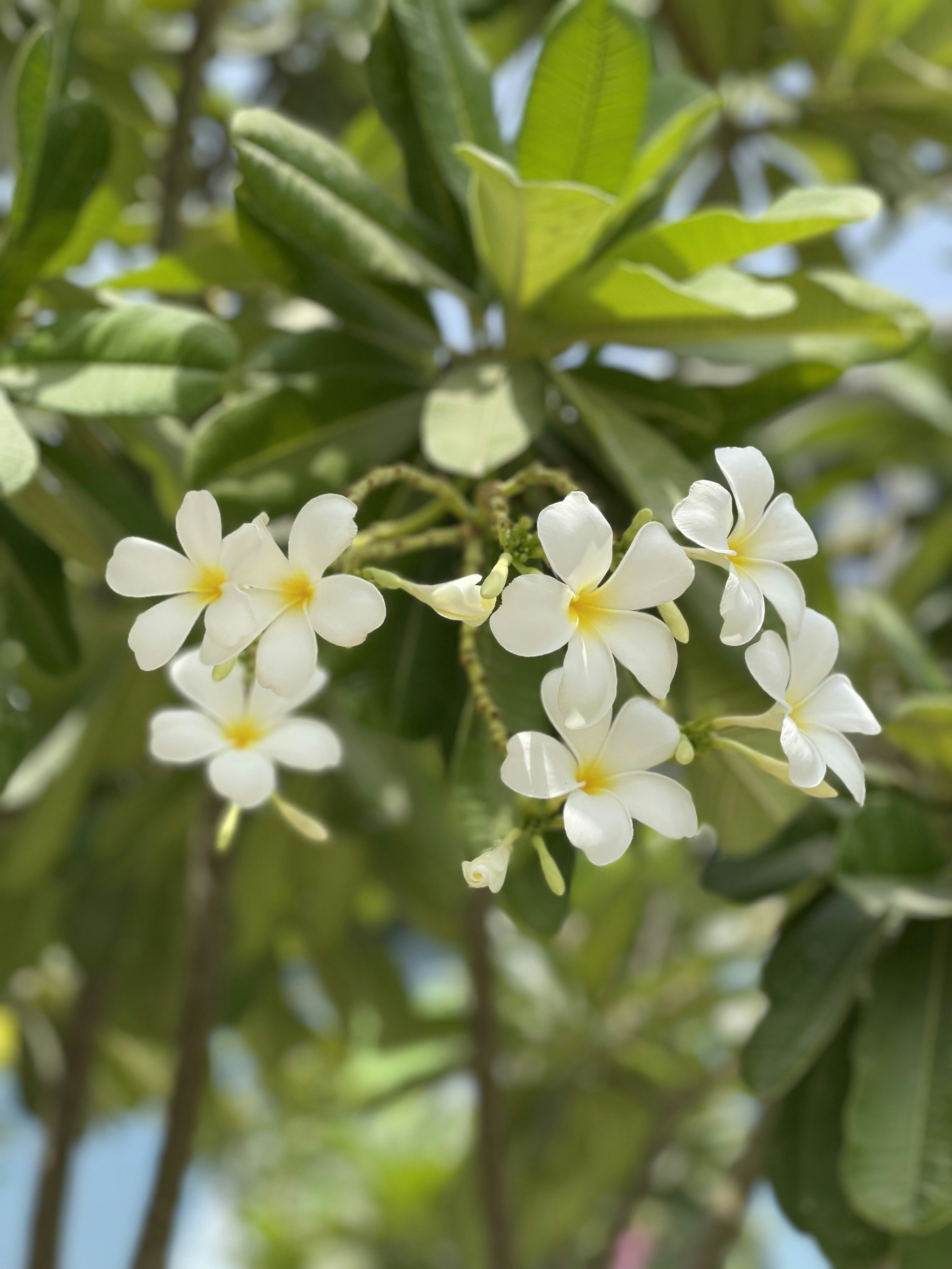 Photo by leylavalieva