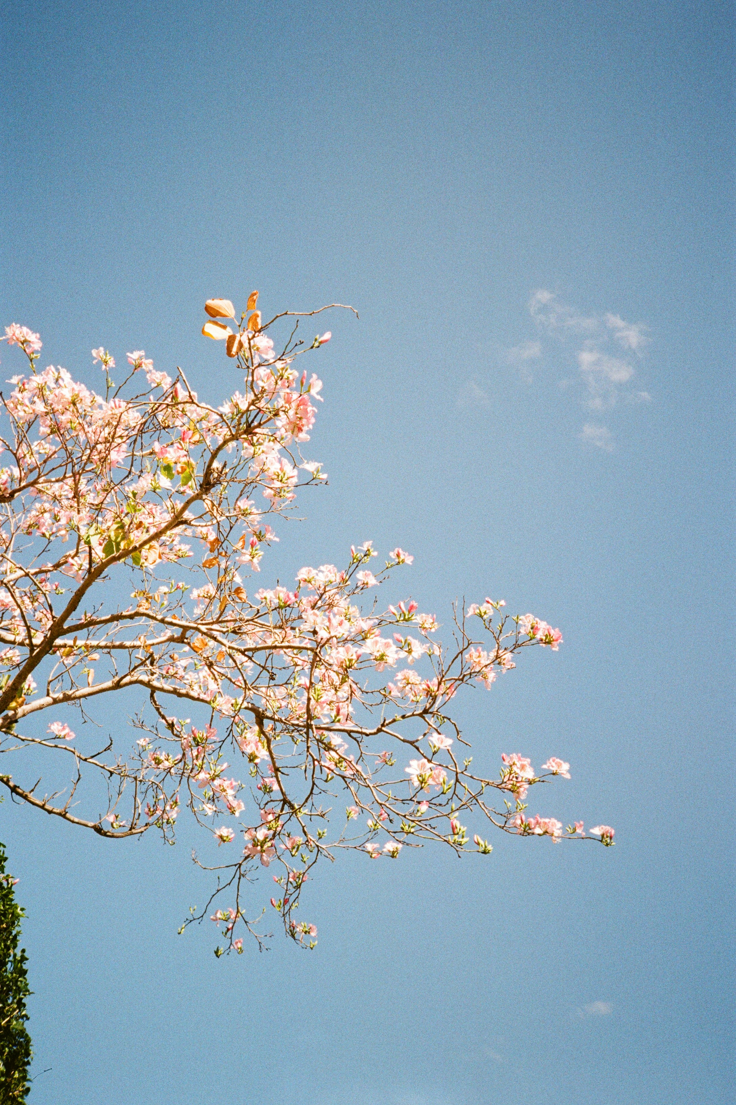 Photo by benbouvierfarrell