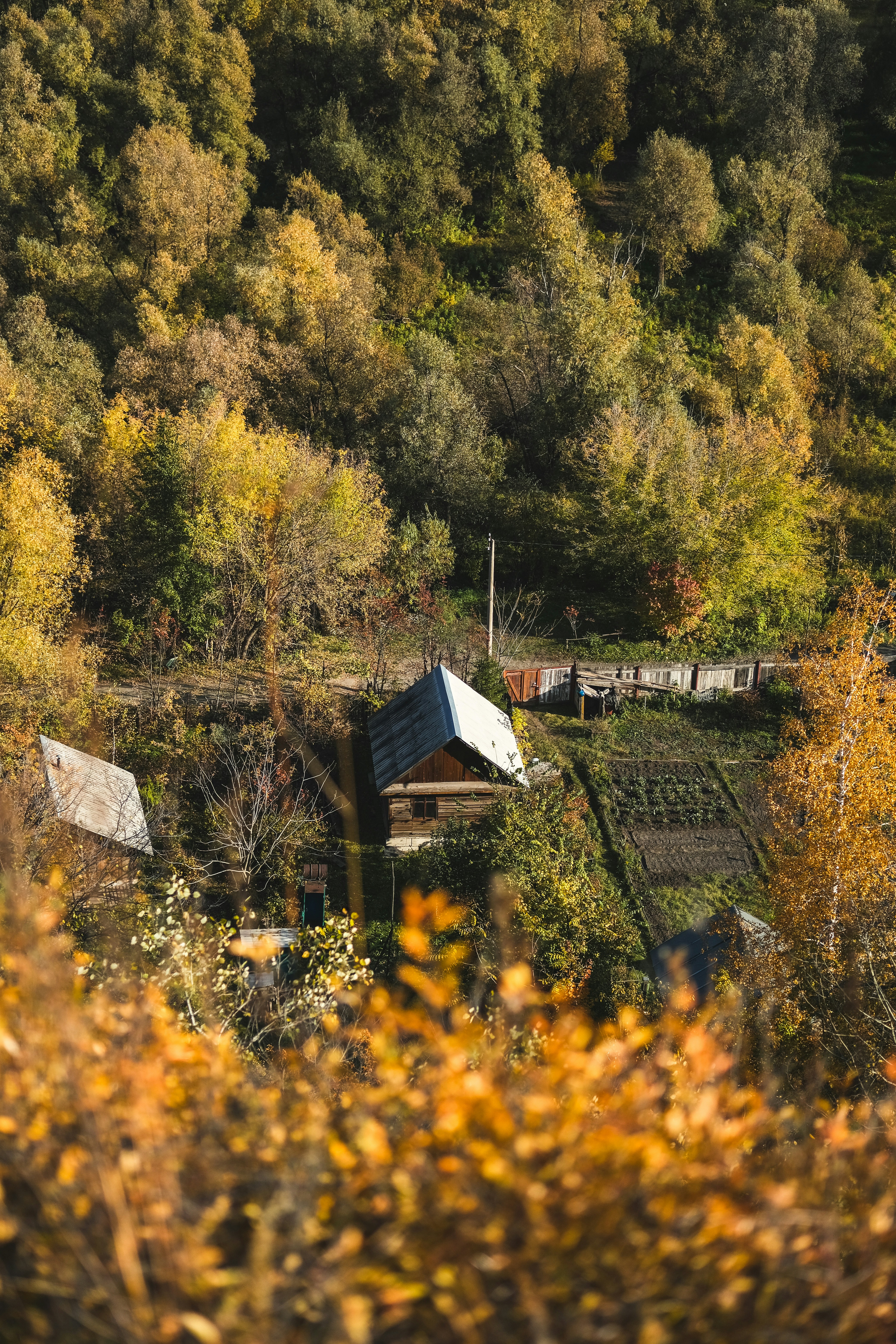 Photo by rolig_basseng