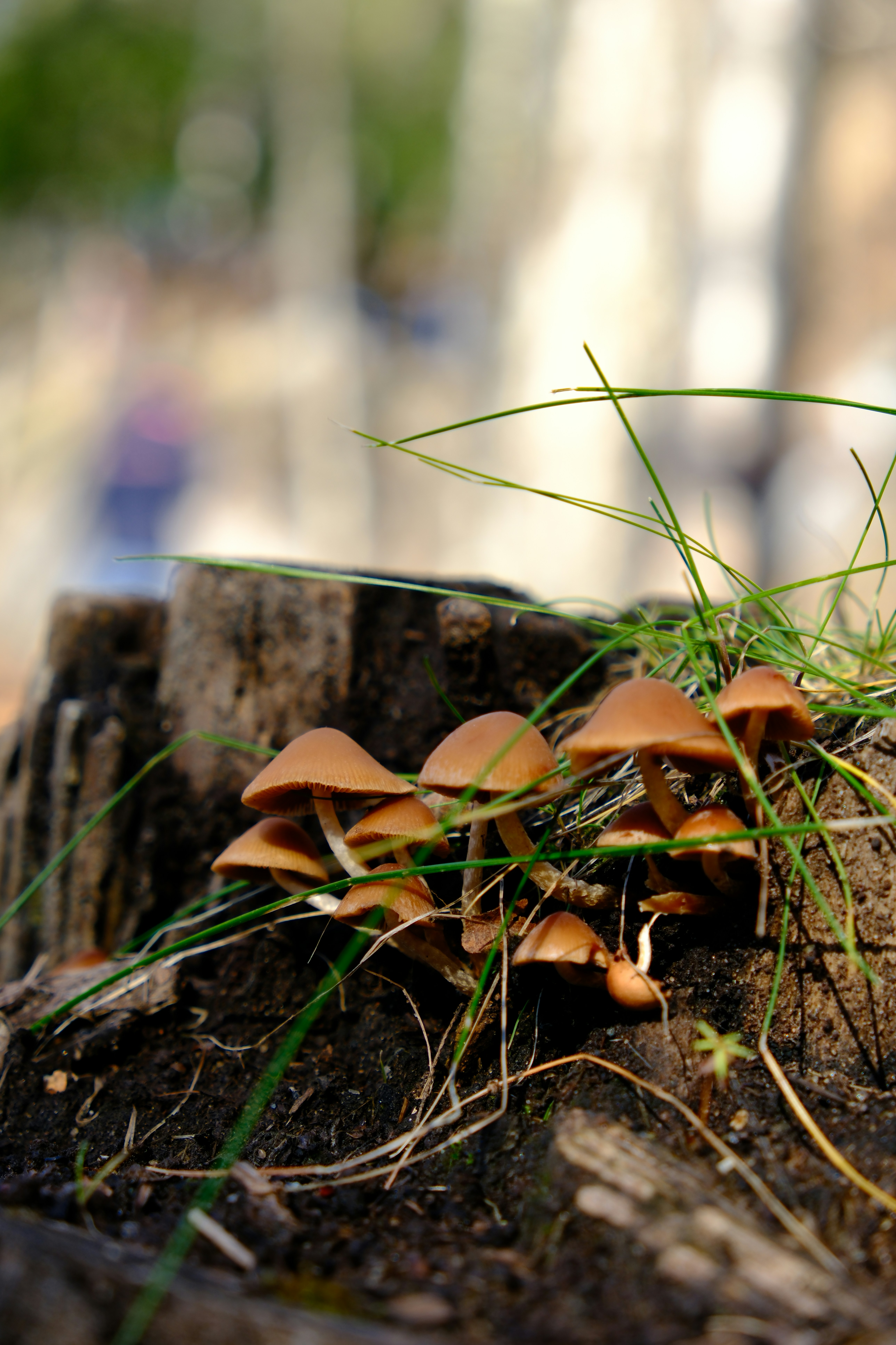 Photo by nazisrayelyan