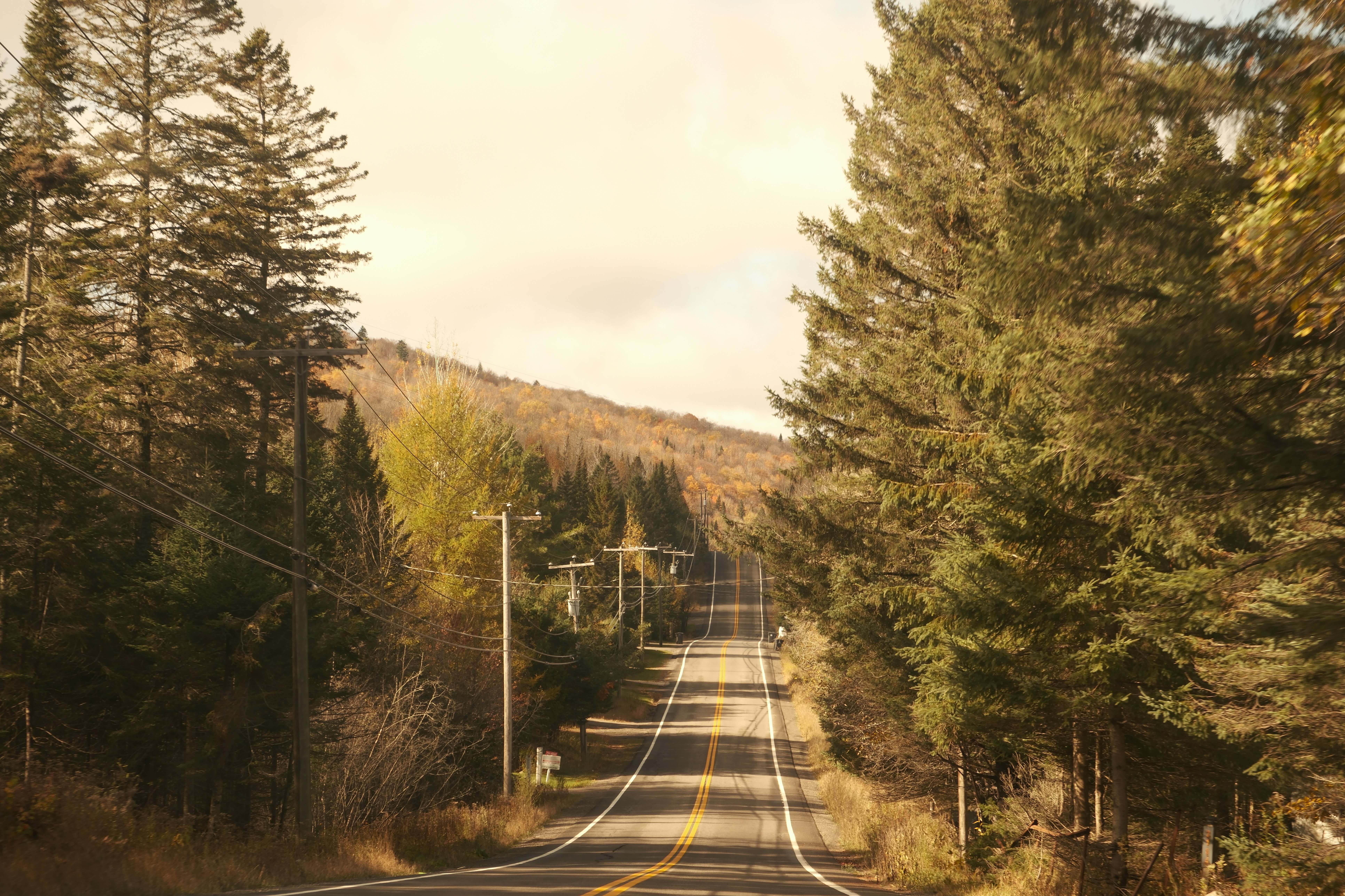 Photo by nazisrayelyan