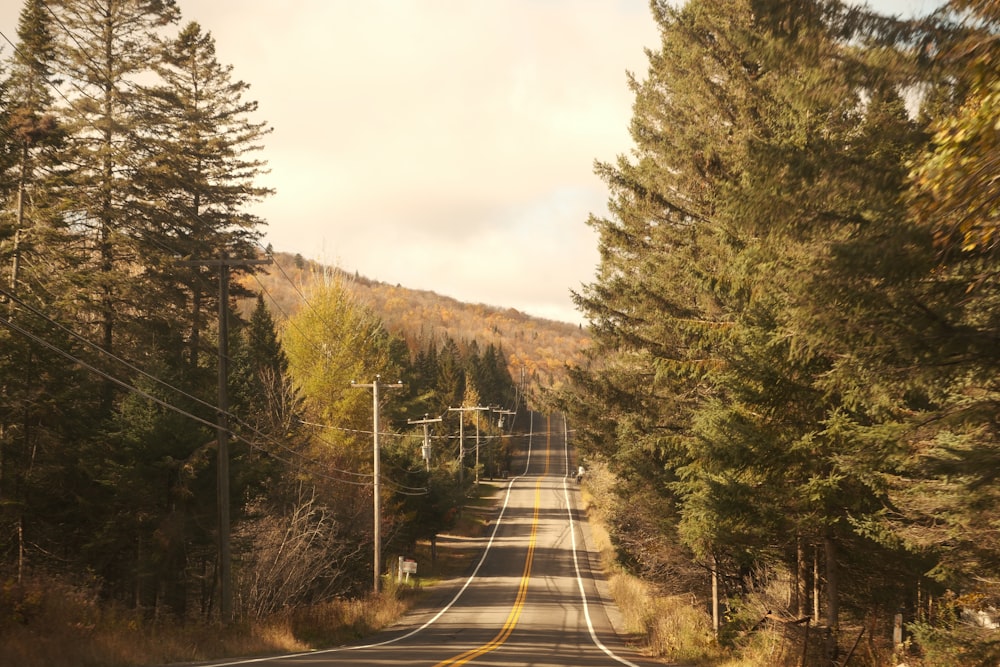 a road in the middle of a wooded area