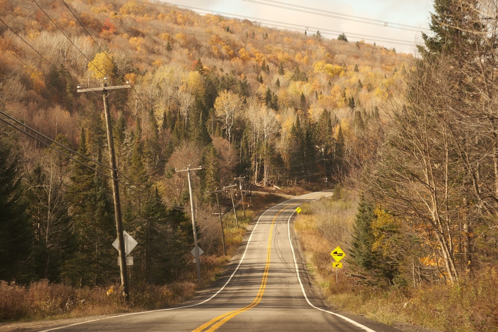 a road in the middle of a wooded area