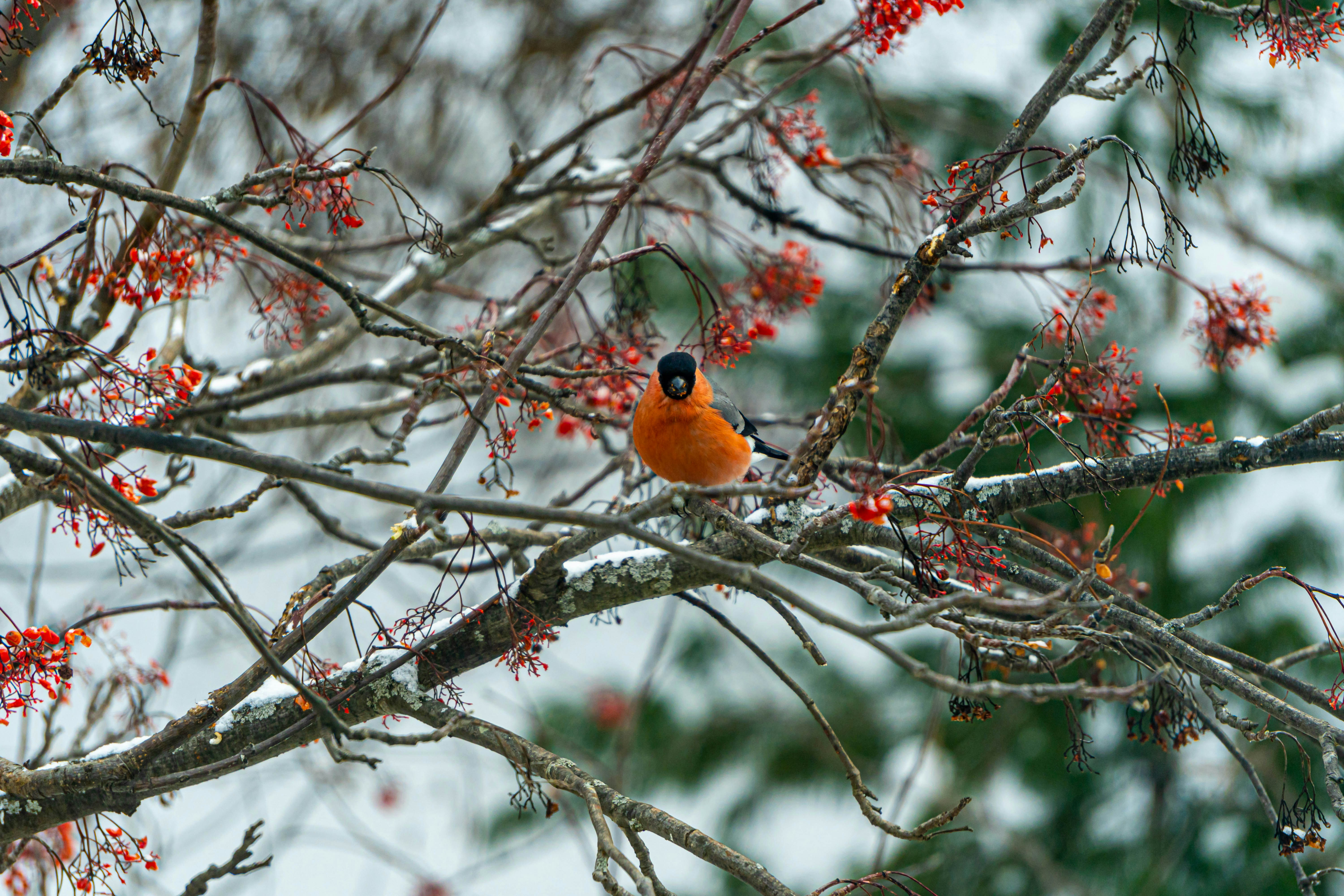 Photo by dmitry_beloglazov