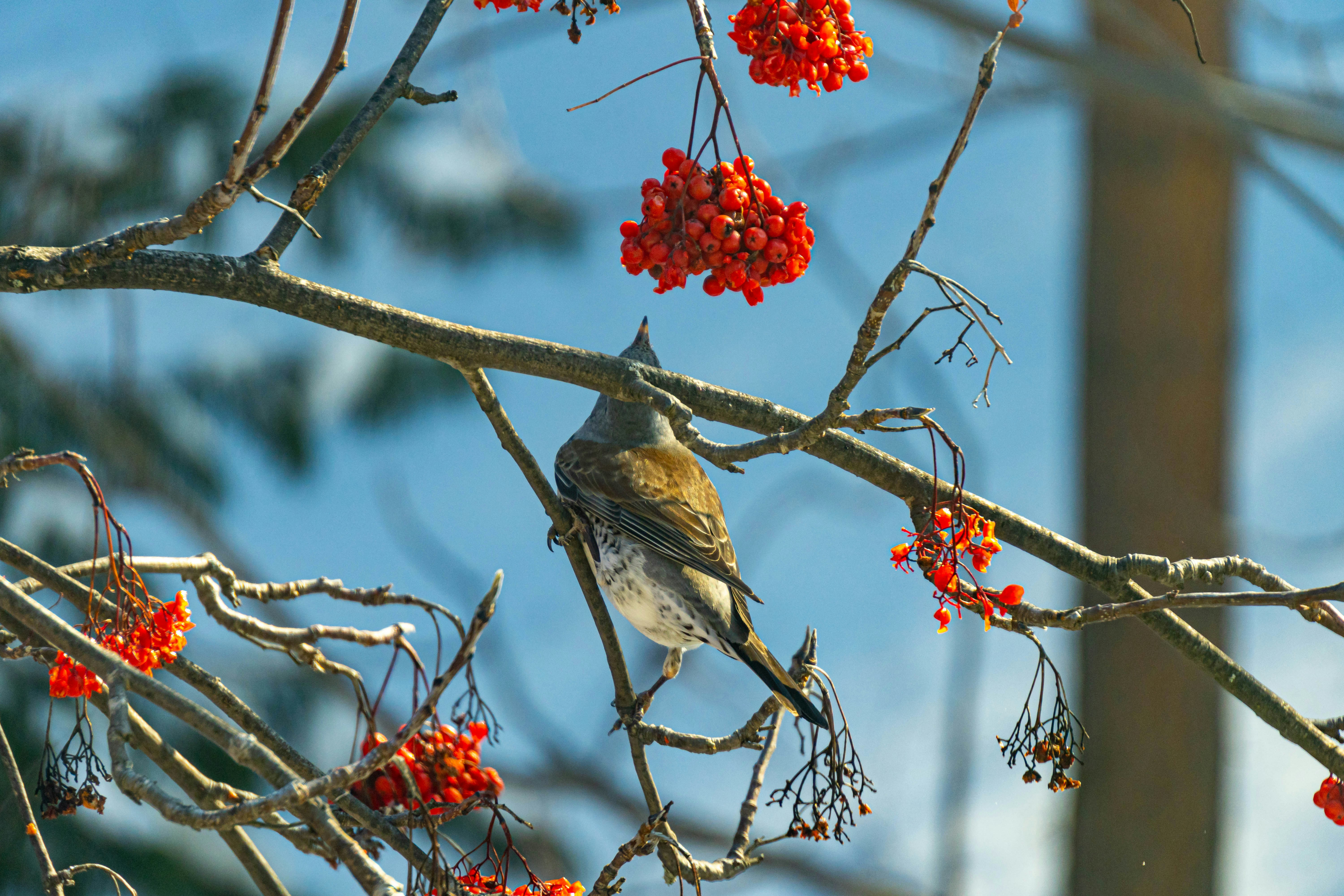 Photo by dmitry_beloglazov