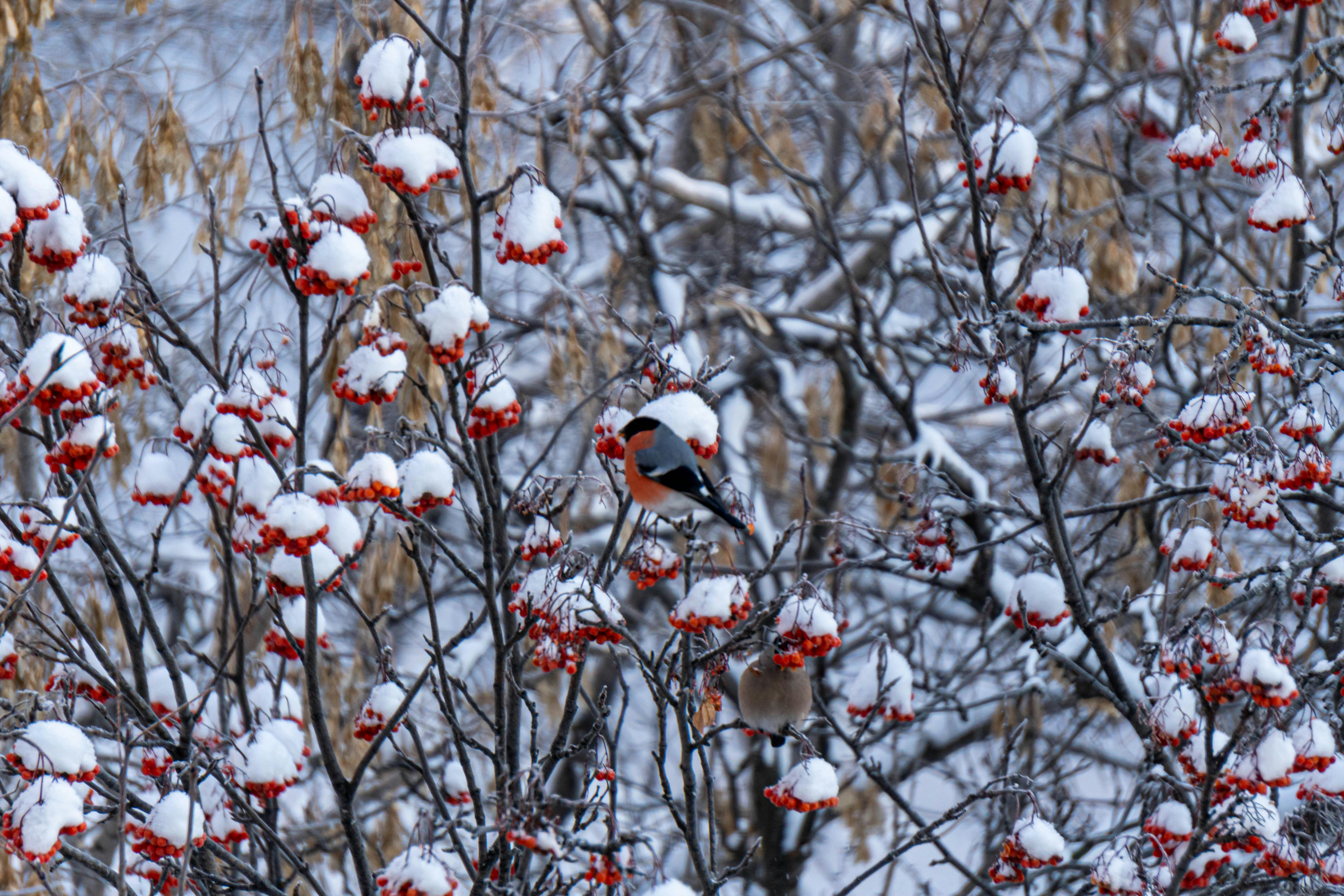 Photo by dmitry_beloglazov