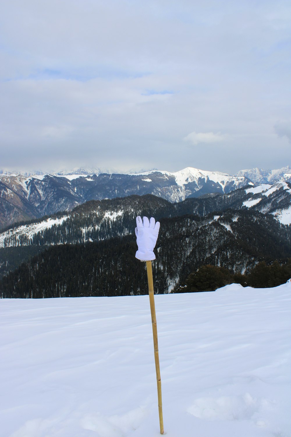 a wooden stick with a white glove on top of it