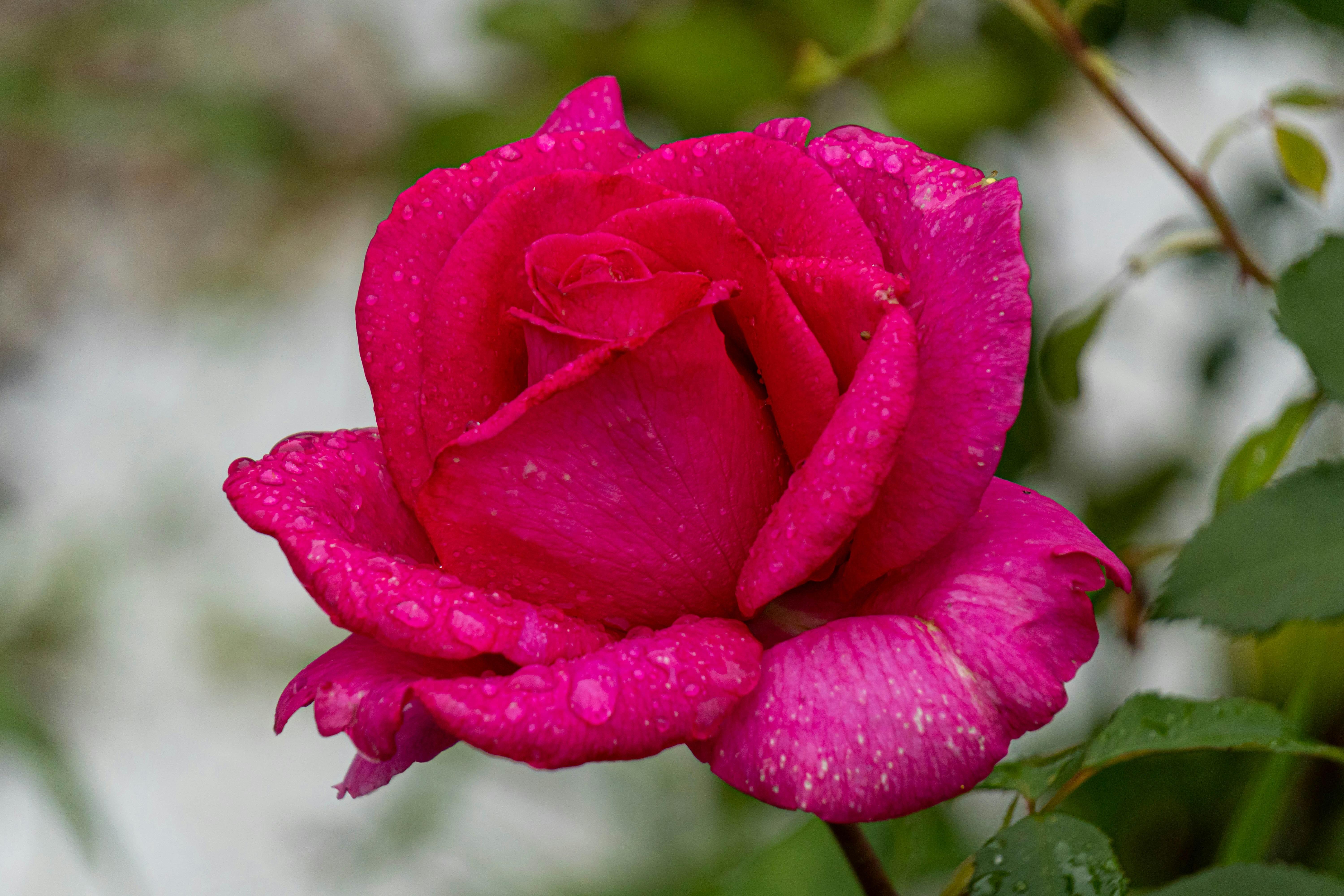 Photo by dmitry_beloglazov