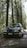 a car parked on the side of the road in the woods