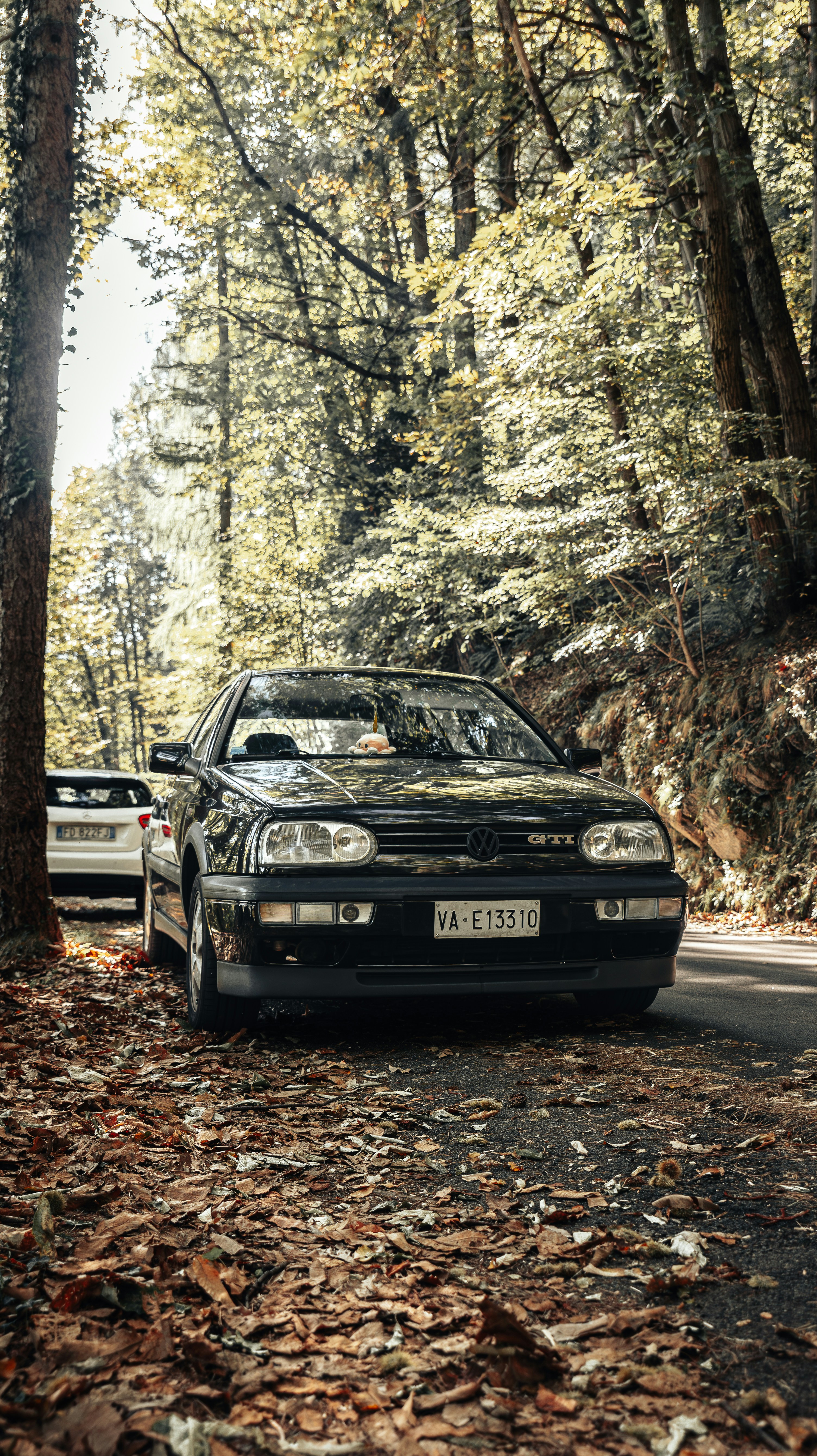 Photo by abphoto_dot_it