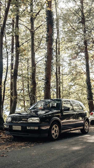 A black Volkswagen Golf GTI is parked on a road surrounded by tall trees with dense foliage. Sunlight filters through the leaves, casting dappled shadows on the car and ground.