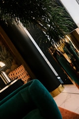A chic interior space features a deep green velvet sofa, a large plant with lush leaves in a tall metallic planter, and patterned decorative elements. The setting has a modern and stylish aesthetic with dark walls and a blend of textures and colors.