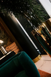 A chic interior space features a deep green velvet sofa, a large plant with lush leaves in a tall metallic planter, and patterned decorative elements. The setting has a modern and stylish aesthetic with dark walls and a blend of textures and colors.
