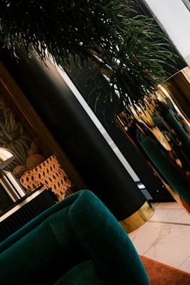 A chic interior space features a deep green velvet sofa, a large plant with lush leaves in a tall metallic planter, and patterned decorative elements. The setting has a modern and stylish aesthetic with dark walls and a blend of textures and colors.