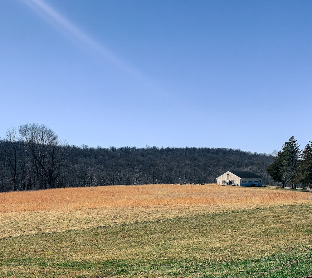 a large field with a house in the distance