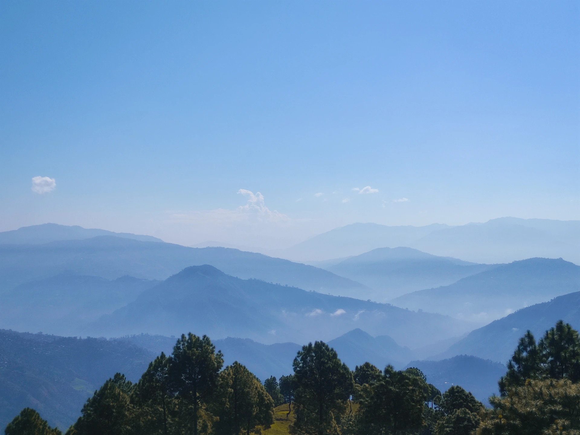 A peaceful mountain landscape with mist rolling through pine trees and a clear blue sky above.