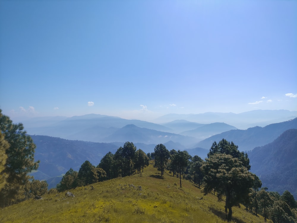 a grassy hill with trees and mountains in the background