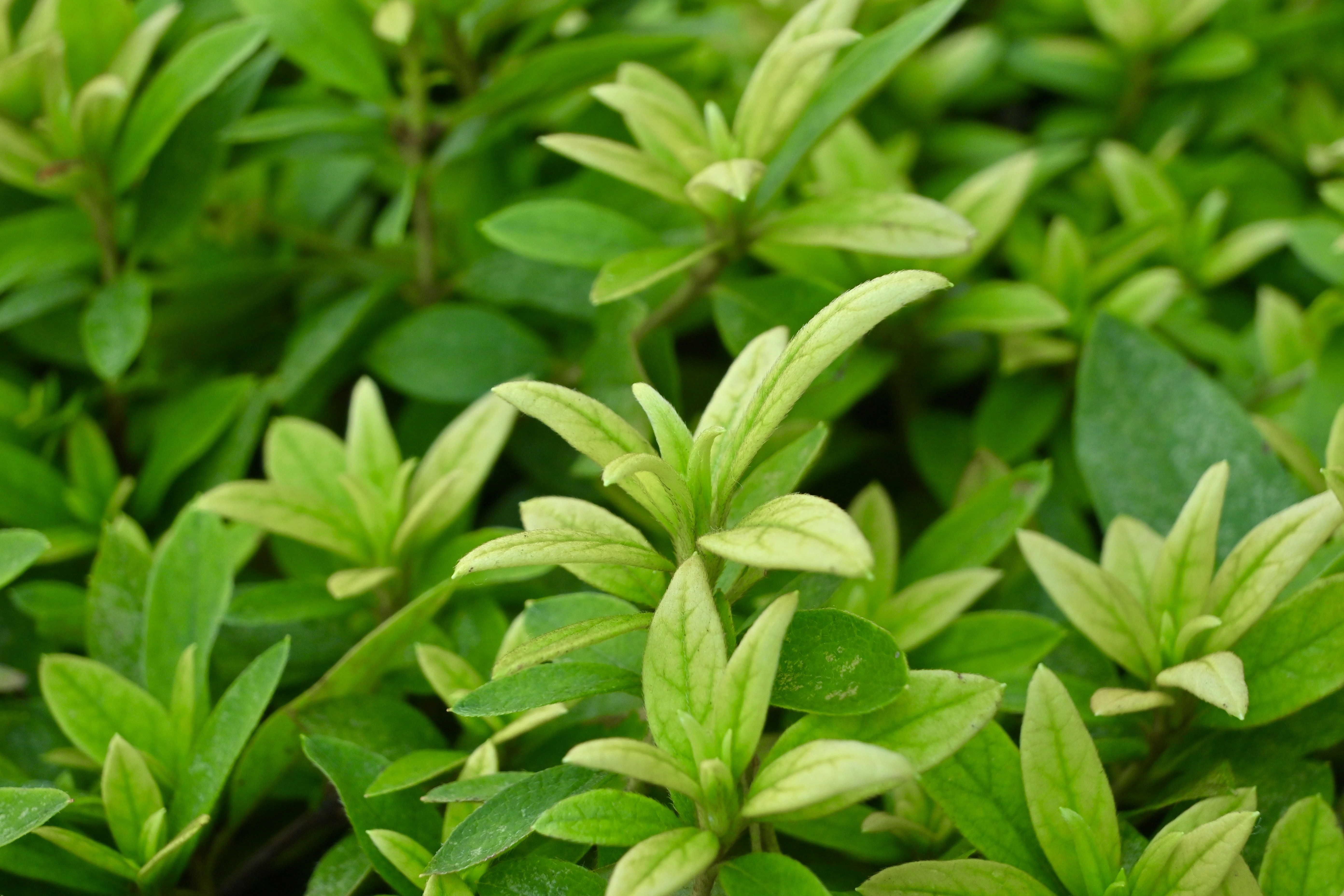 Photo by keisuke2003