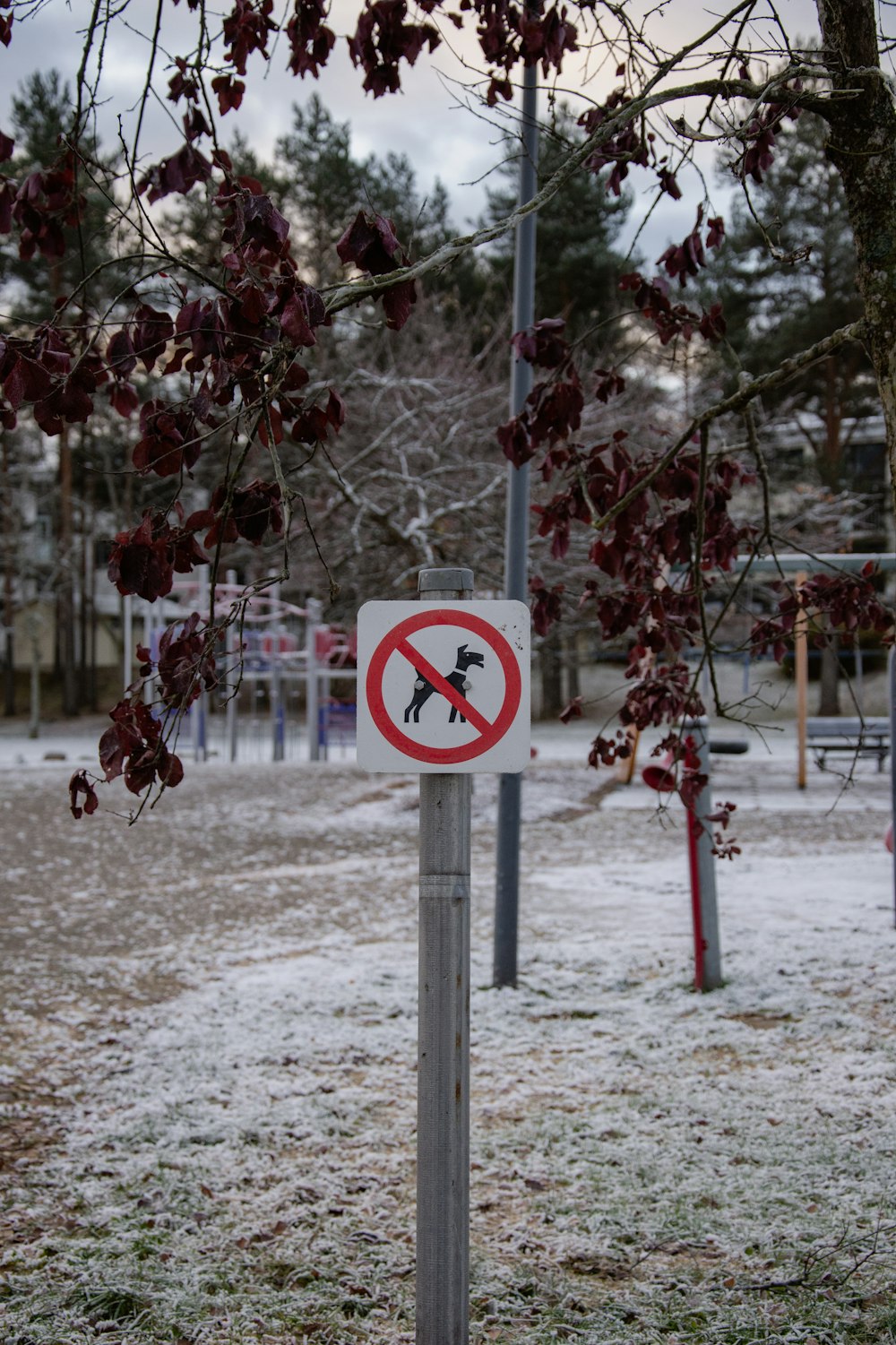 a no dogs allowed sign in a park