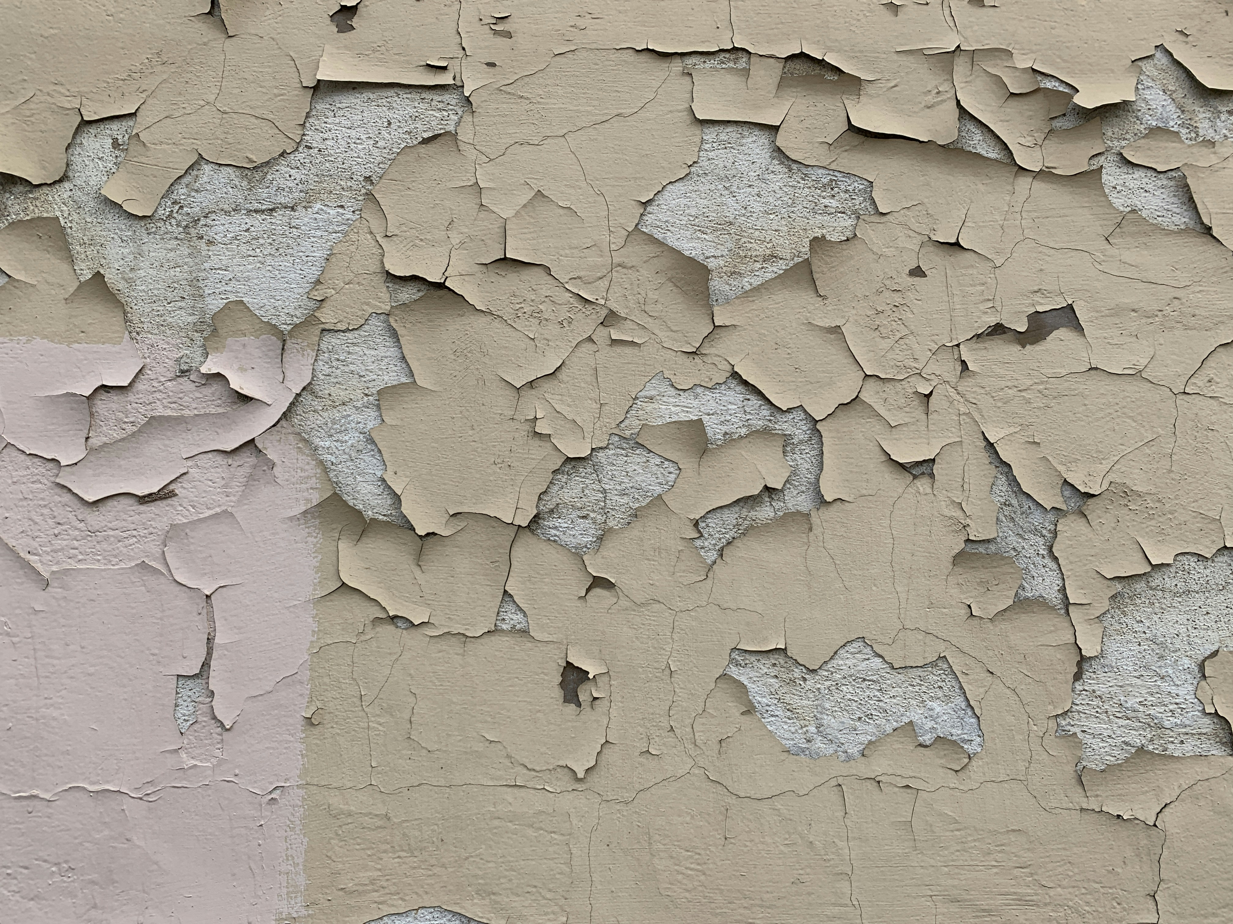 Photo by nikolaevcap