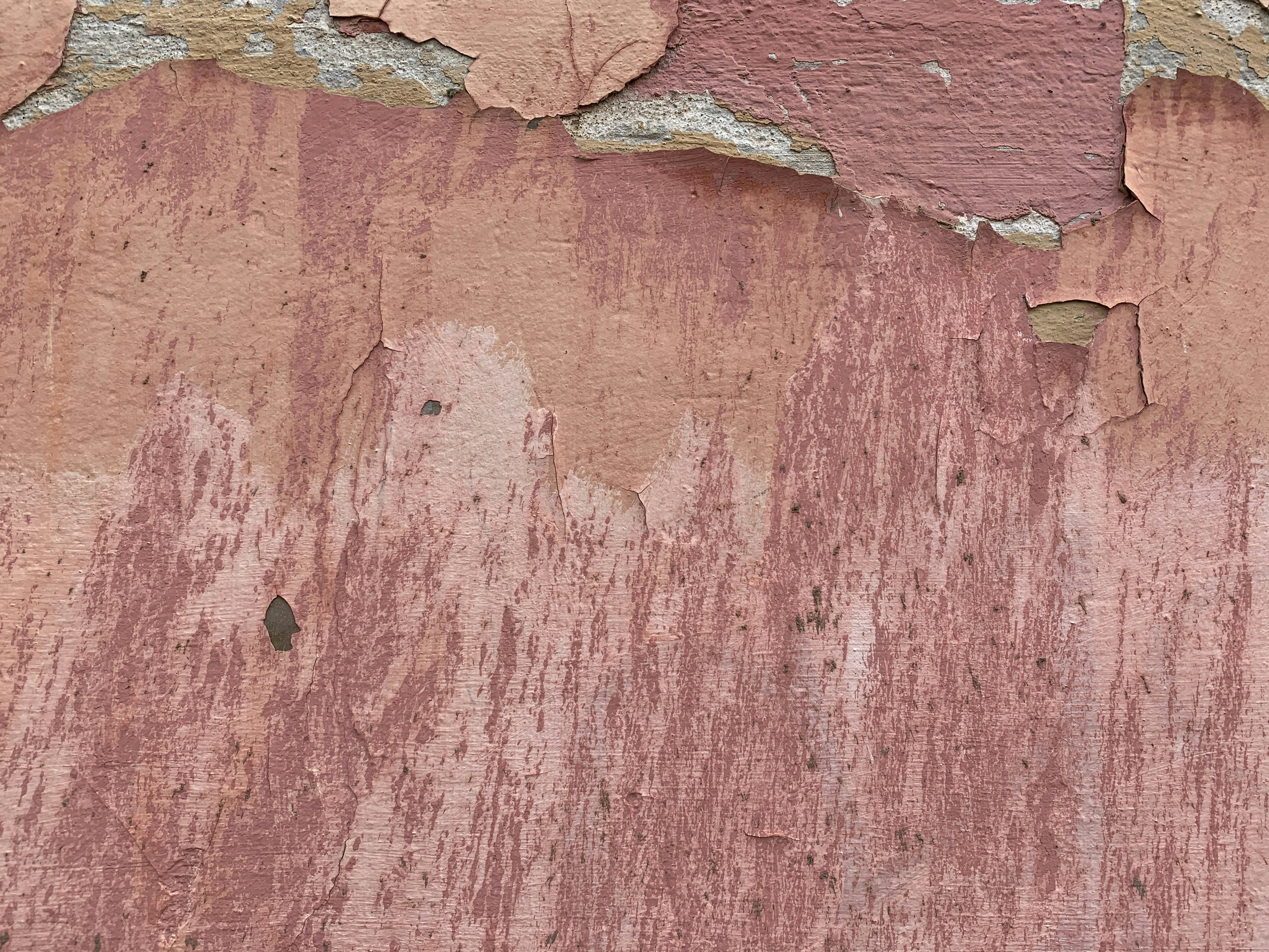 Photo by nikolaevcap