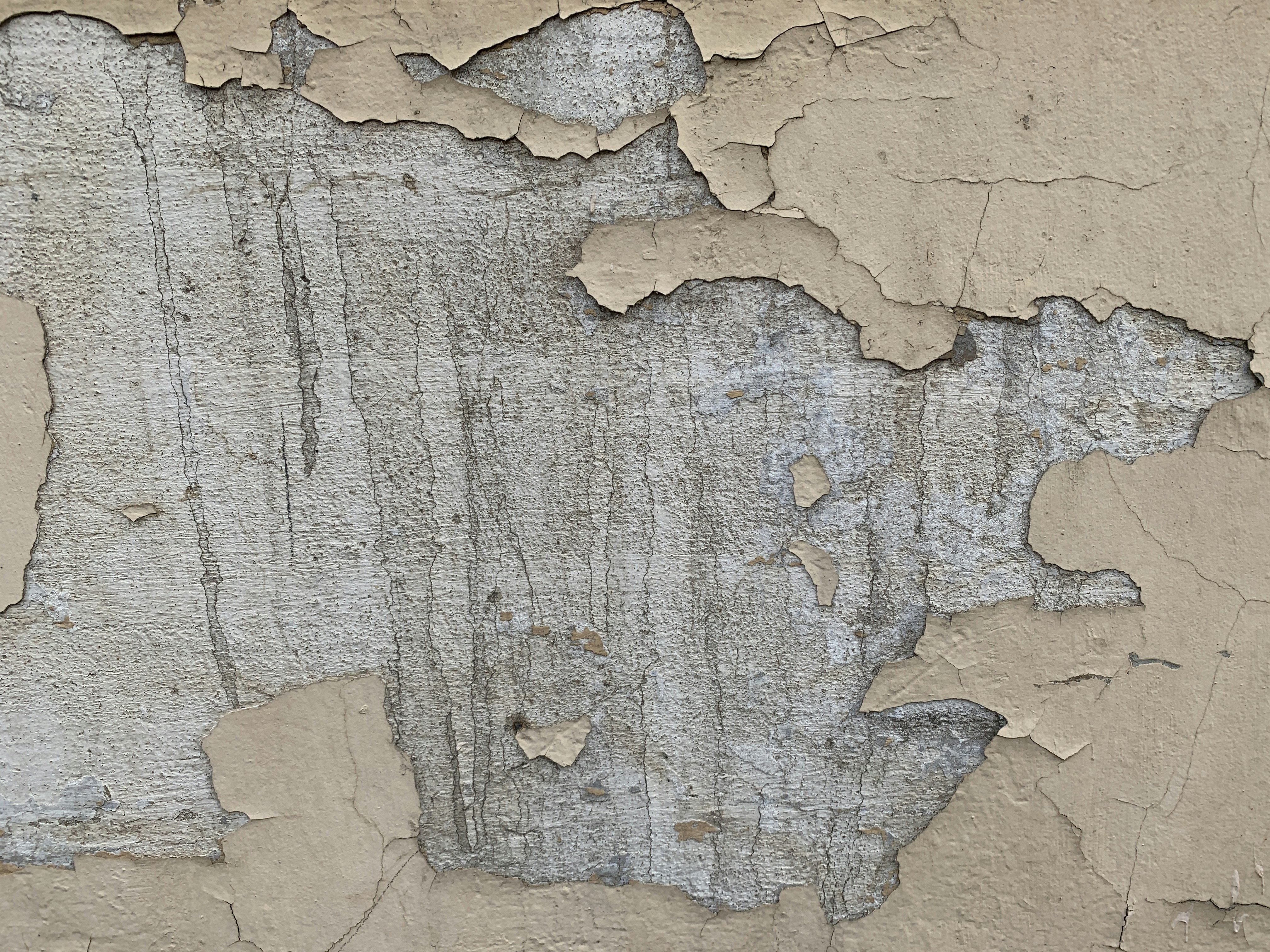 Photo by nikolaevcap