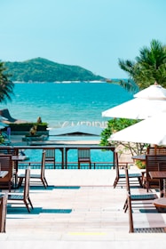 A serene outdoor dining area surrounded by lush greenery and gentle ocean waves.