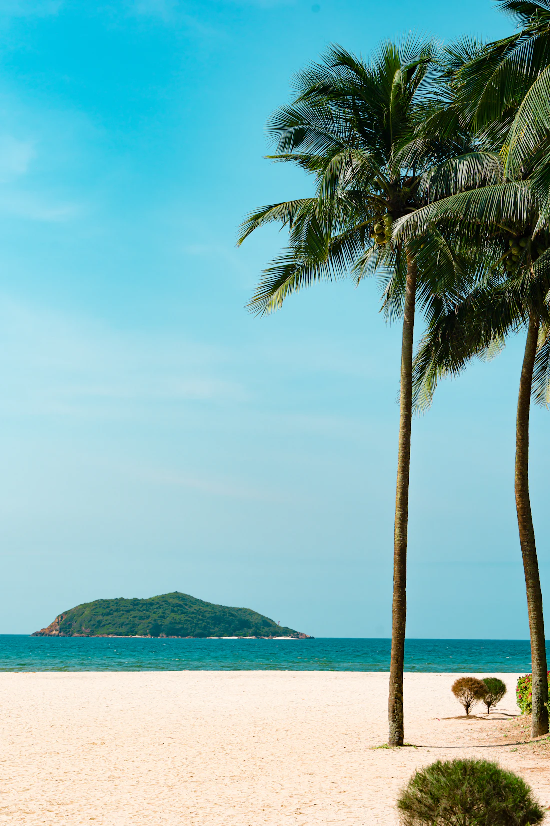 Land on a calm coast