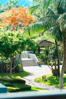 A beautifully landscaped backyard in Jacksonville featuring lush greenery and a custom stone pathway.