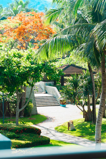 A beautifully landscaped backyard in Jacksonville featuring lush greenery and a custom stone pathway.