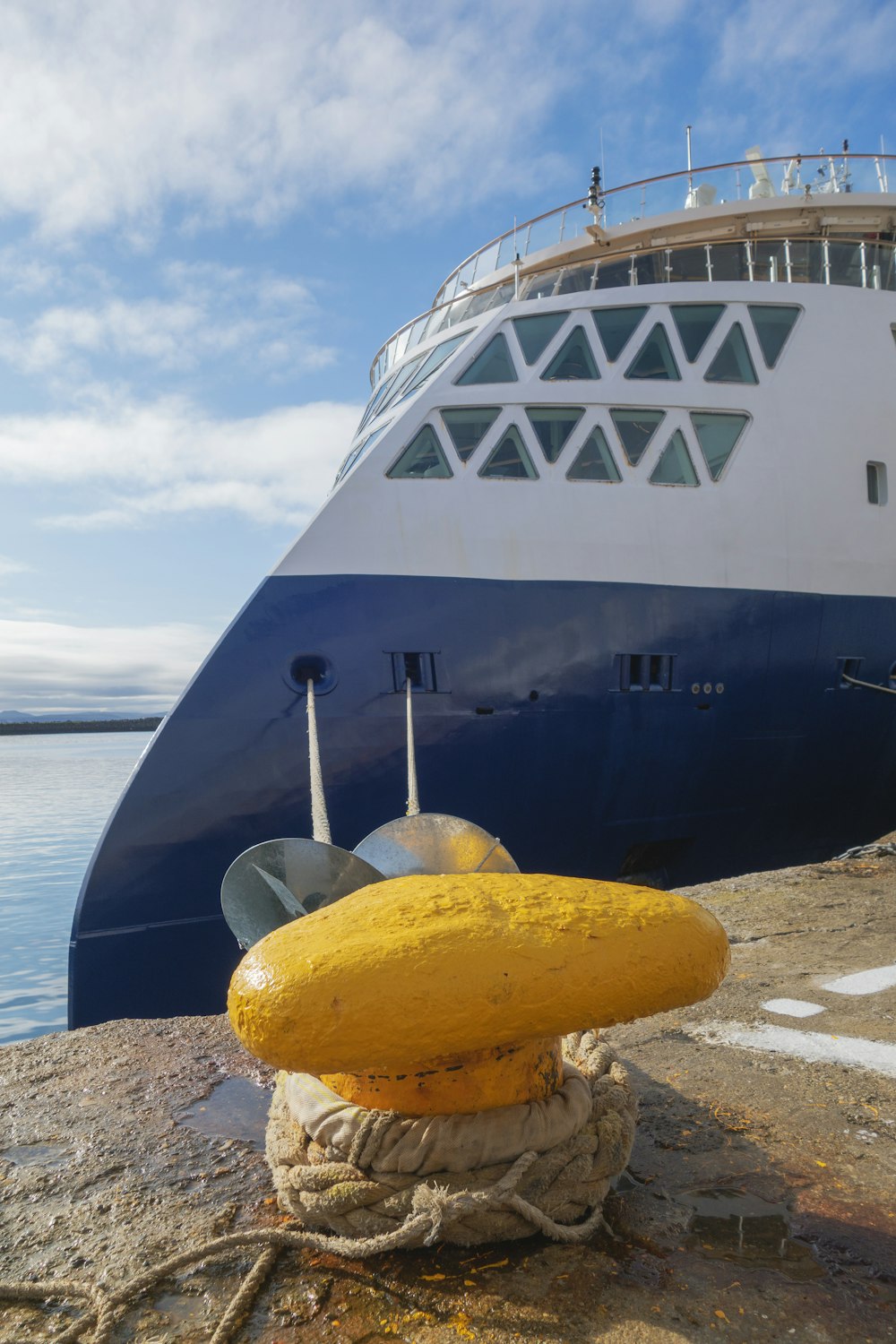 una boa gialla seduta a terra accanto a una grande nave