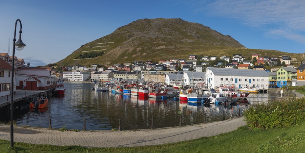 a harbor filled with lots of boats next to a mountain